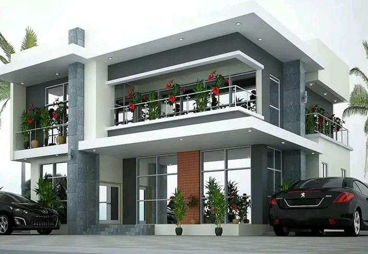 Project View