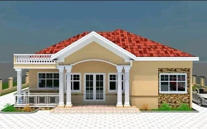 Project View
